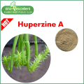 Chinese herb Huperzine A serrata extract Huperzine-A